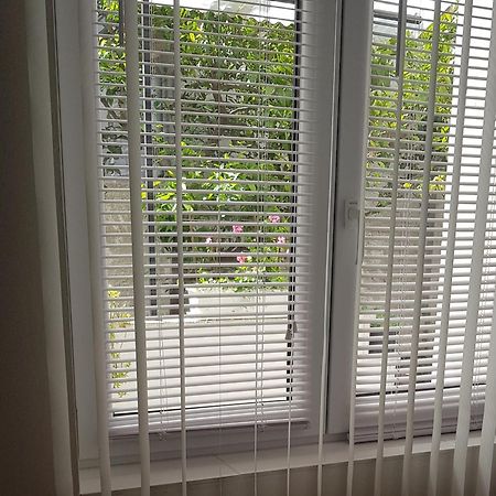Apartment Janda - Zadar Croatia מראה חיצוני תמונה